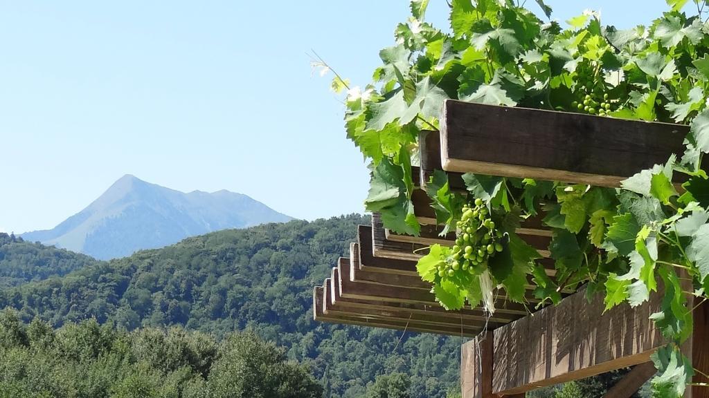 Gites Pyrenees Les Trois Montagnes Ganties Номер фото